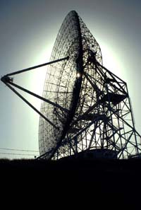 photo by L.A. CICERO